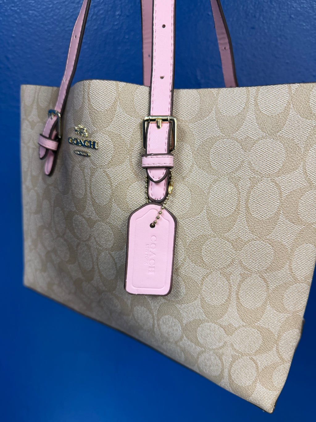 Blush Bag 🩷