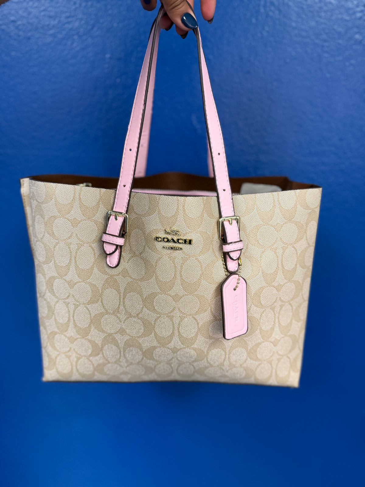 Blush Bag 🩷